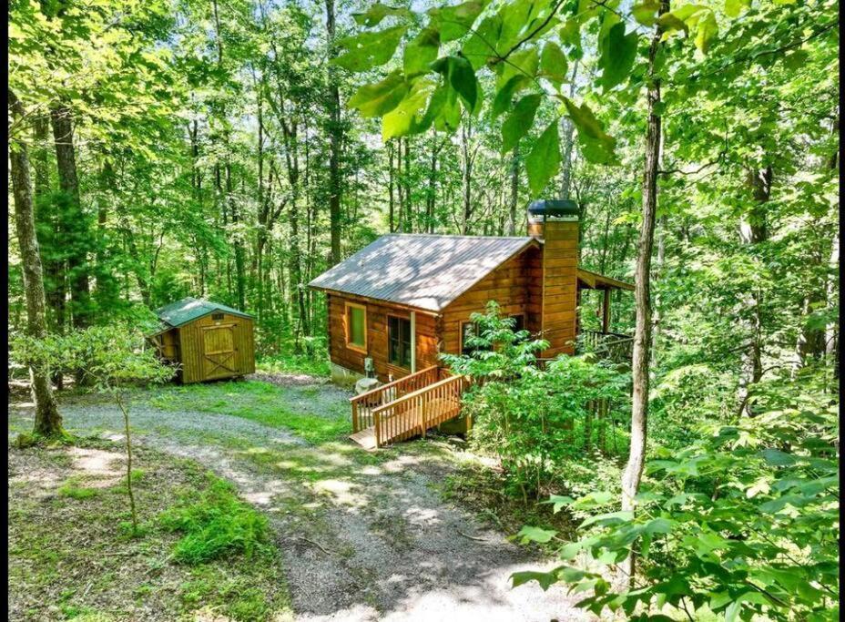 Open Studio Lodge At Little Rock Creek Cherry Log Buitenkant foto